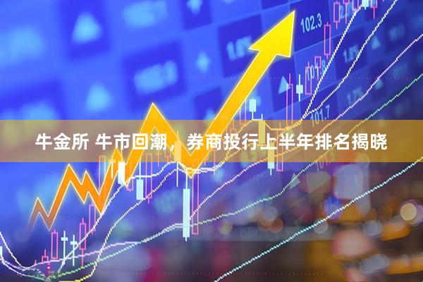 牛金所 牛市回潮，券商投行上半年排名揭晓
