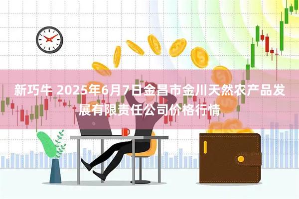 新巧牛 2025年6月7日金昌市金川天然农产品发展有限责任公司价格行情