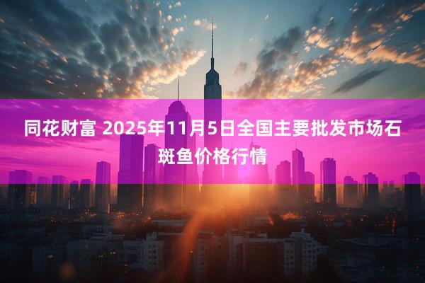 同花财富 2025年11月5日全国主要批发市场石斑鱼价格行情