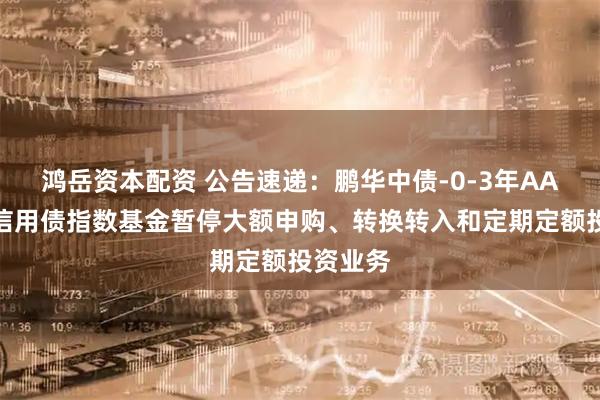 鸿岳资本配资 公告速递：鹏华中债-0-3年AA＋优选信用债指数基金暂停大额申购、转换转入和定期定额投资业务
