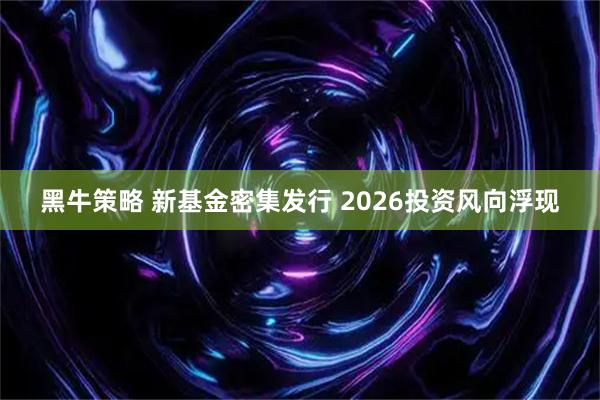 黑牛策略 新基金密集发行 2026投资风向浮现