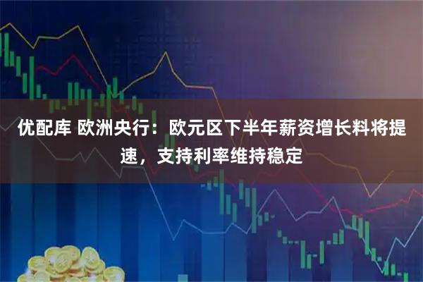 优配库 欧洲央行：欧元区下半年薪资增长料将提速，支持利率维持稳定