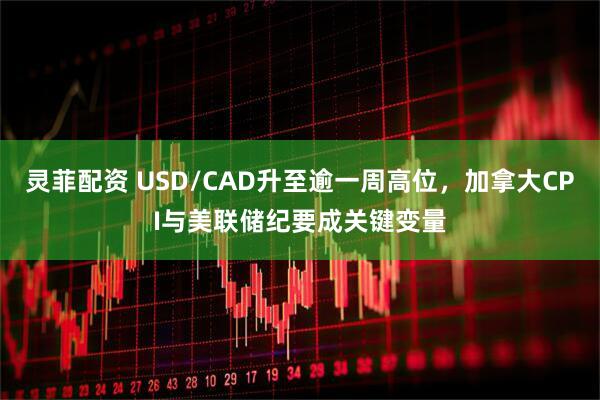 灵菲配资 USD/CAD升至逾一周高位，加拿大CPI与美联储纪要成关键变量