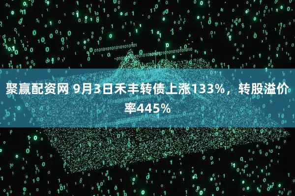 聚赢配资网 9月3日禾丰转债上涨133%，转股溢价率445%