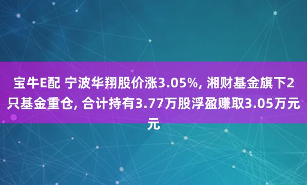 宝牛E配 宁波华翔股价涨3.05%, 湘财基金旗下2只基金重仓, 合计持有3.77万股浮盈赚取3.05万元